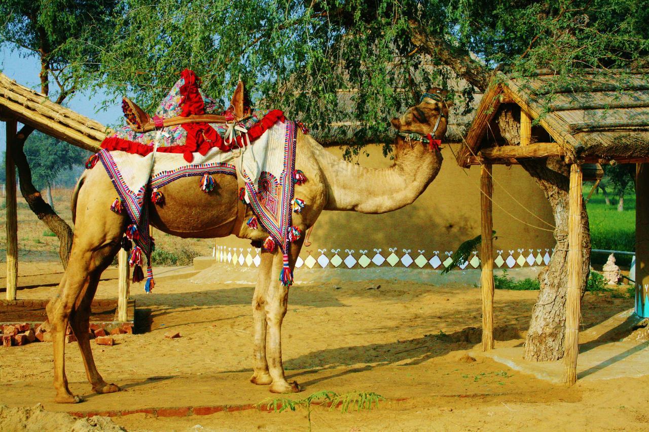 Desert Nights Mandāwa Exterior foto